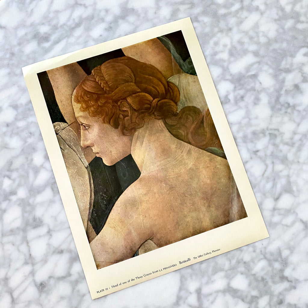 Vintage Portrait | Three Graces | Botticelli | La Primavera | 1958 | Art History | Golden Rule Gallery | Excelsior, MN | Minneapolis Gallery
