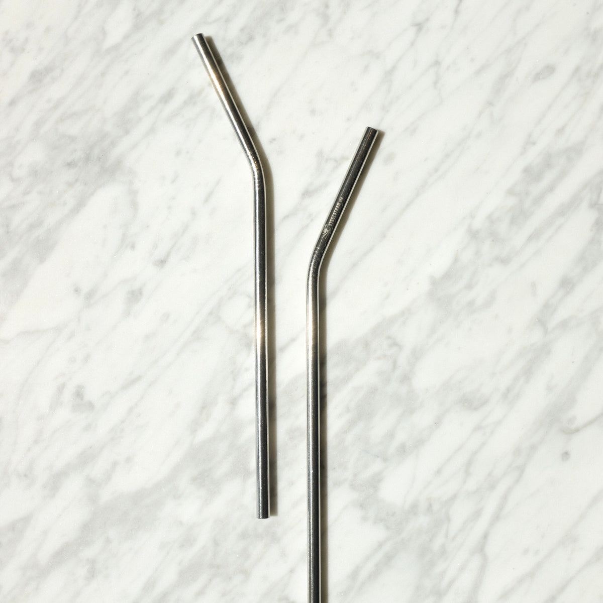 Porter Reusable Metal Straw Set