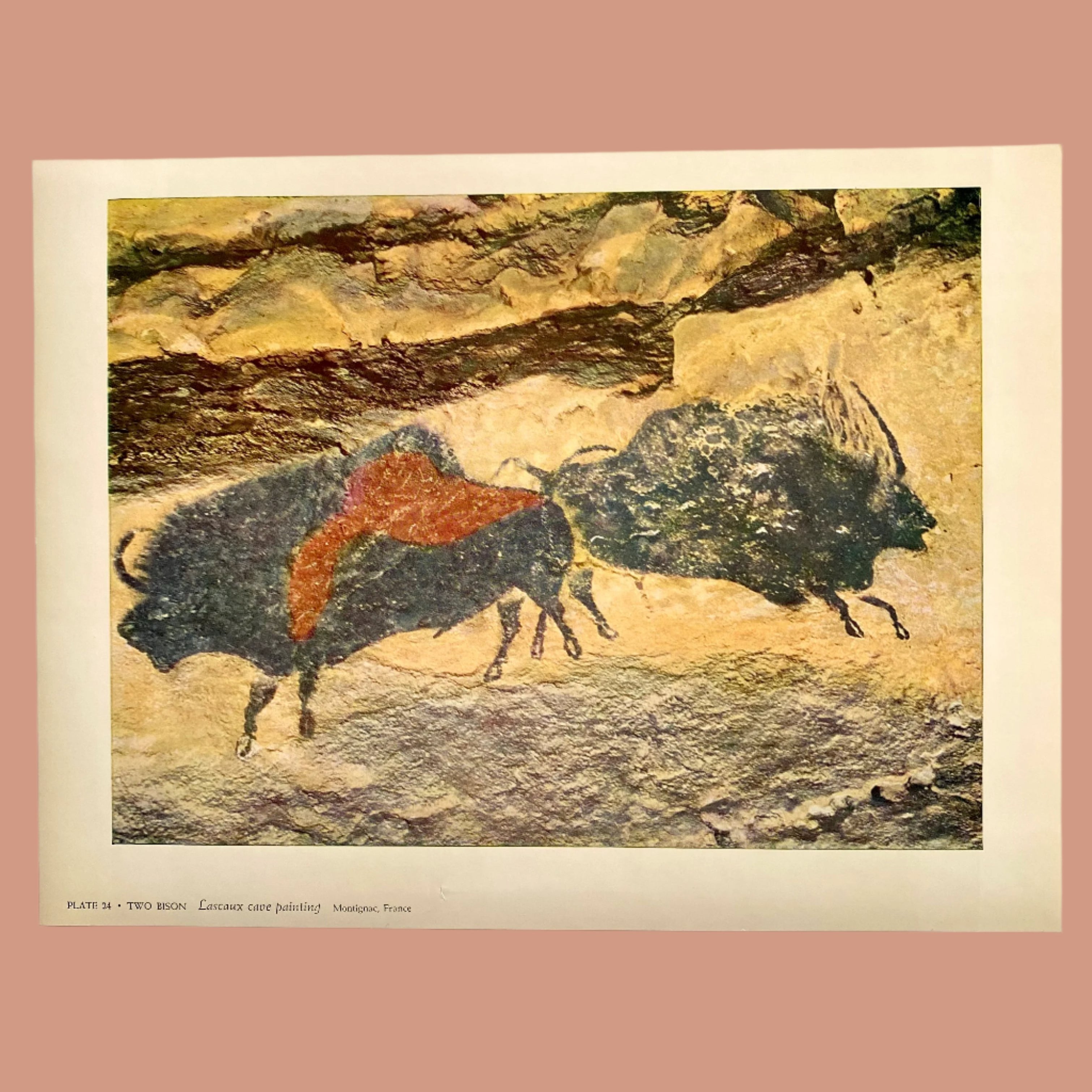 Vintage 1958 Lascaux Cave Painting “Two Bison
