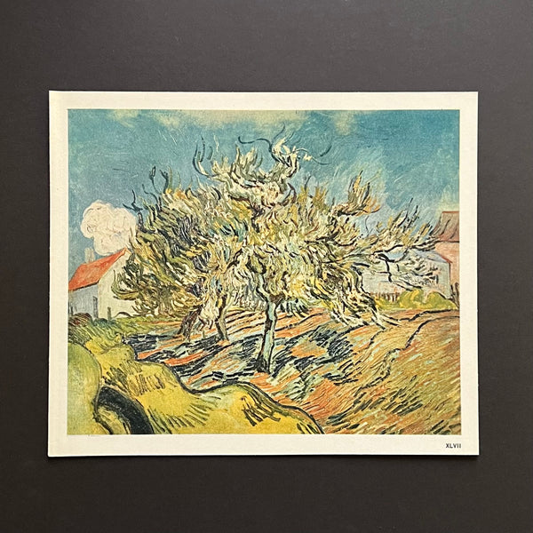 Rare Vintage 60s Vincent Van Gogh Three Trees and a House Art Print at Golden Rule Gallery in Excelsior, MN