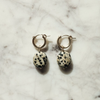 Dalmatian Jasper Gold Hoop Earrings at Golden Rule Gallery 
