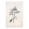 Love Me Floral Tea Towel | Linen Tea Towel Art | Golden Rule Gallery | Framed Art | Excelsior, MN