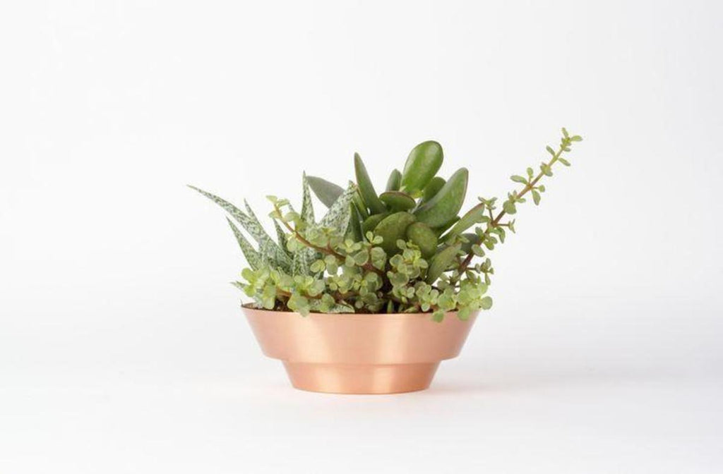 Spun Copper Bowl | YIELD | 8" Bowl | Golden Rule Gallery | Excelsior, MN | Copper Plant Pot 